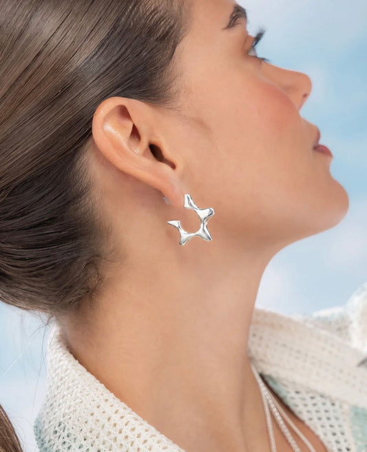 Aretes Estrella