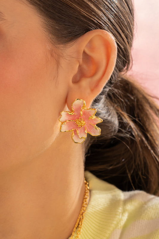 Aretes Vera Rosa